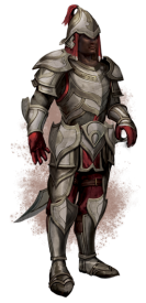 Redguard heavy armor small