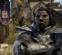 ESO PvP in 2023 - The Road Ahead